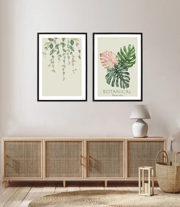 תמונות בוטניות Monstera leaves - סט תמונות עלי מונסטרה