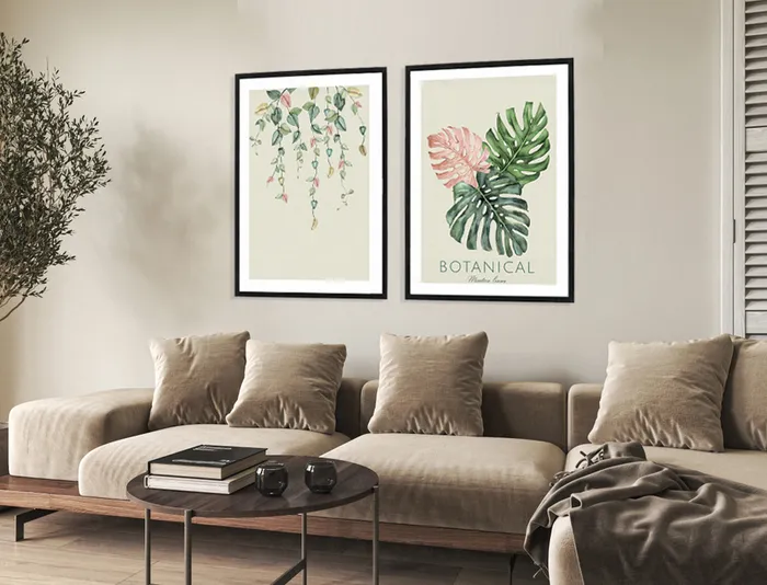 תמונות בוטניות Monstera leaves - סט תמונות עלי מונסטרה