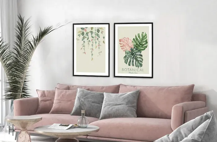 תמונות בוטניות Monstera leaves - סט תמונות עלי מונסטרה