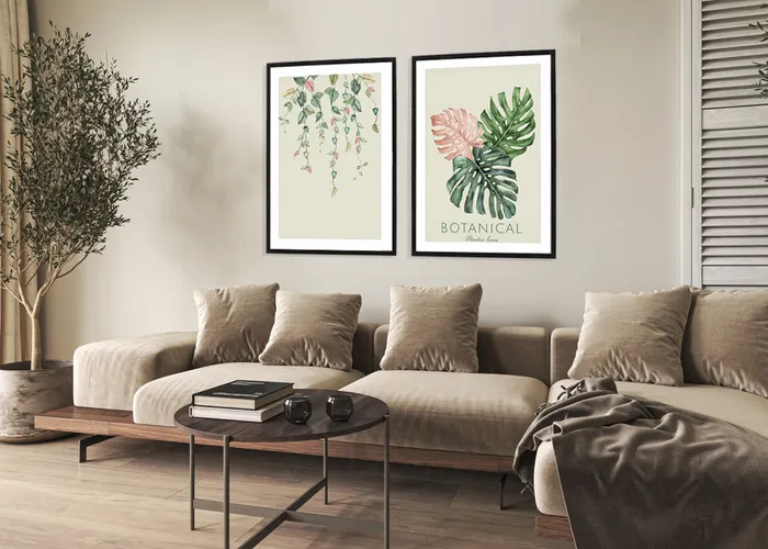 תמונות בוטניות Monstera leaves - סט תמונות עלי מונסטרה