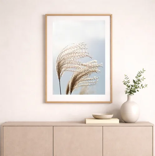 תמונה בוטנית של פמפס עשבוני - דגם 01