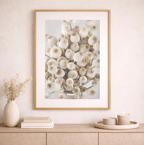 תמונה בוטנית של תרמילי פרג מיובשים