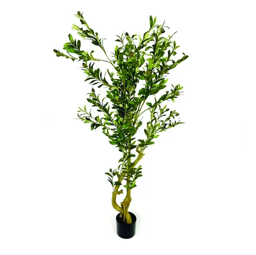 עציץ עץ זית במראה טבעי גובה 190 ס"מ